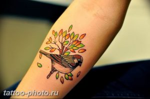 рисунка тату воробей 03.12.2018 №083 - photo tattoo sparrow - tattoo-photo.ru